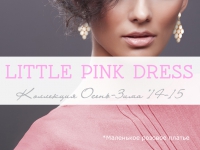 Little Pink Dress Lady Collection